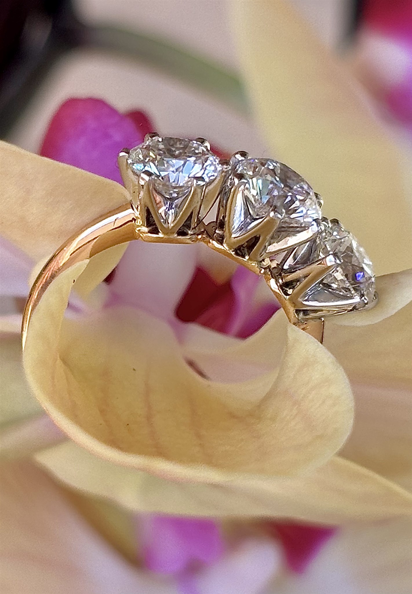 Annas S ring på rosa orkidé.jpeg