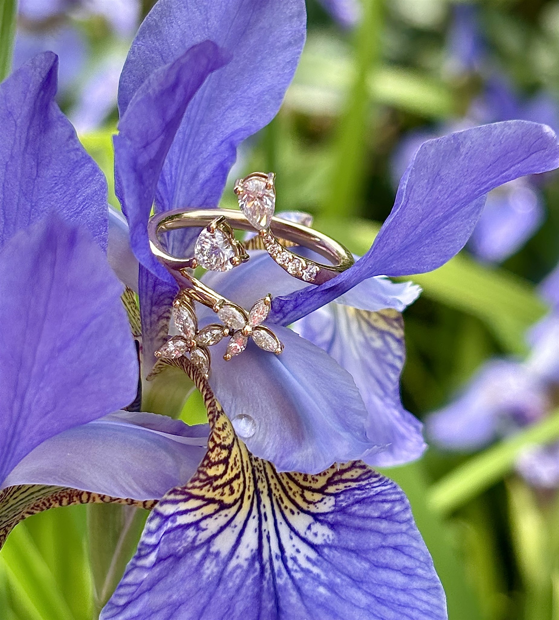 Hjärtdia i ring i irisblomma.jpeg