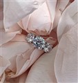 3 tone dia ring from above  rosblad.jpg