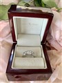 Three dia ring in box rose petals.jpg